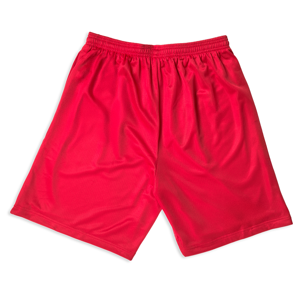 Hit Me Hard Mesh Shorts