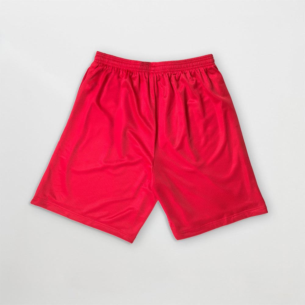 HIT ME HARD MESH SHORTS