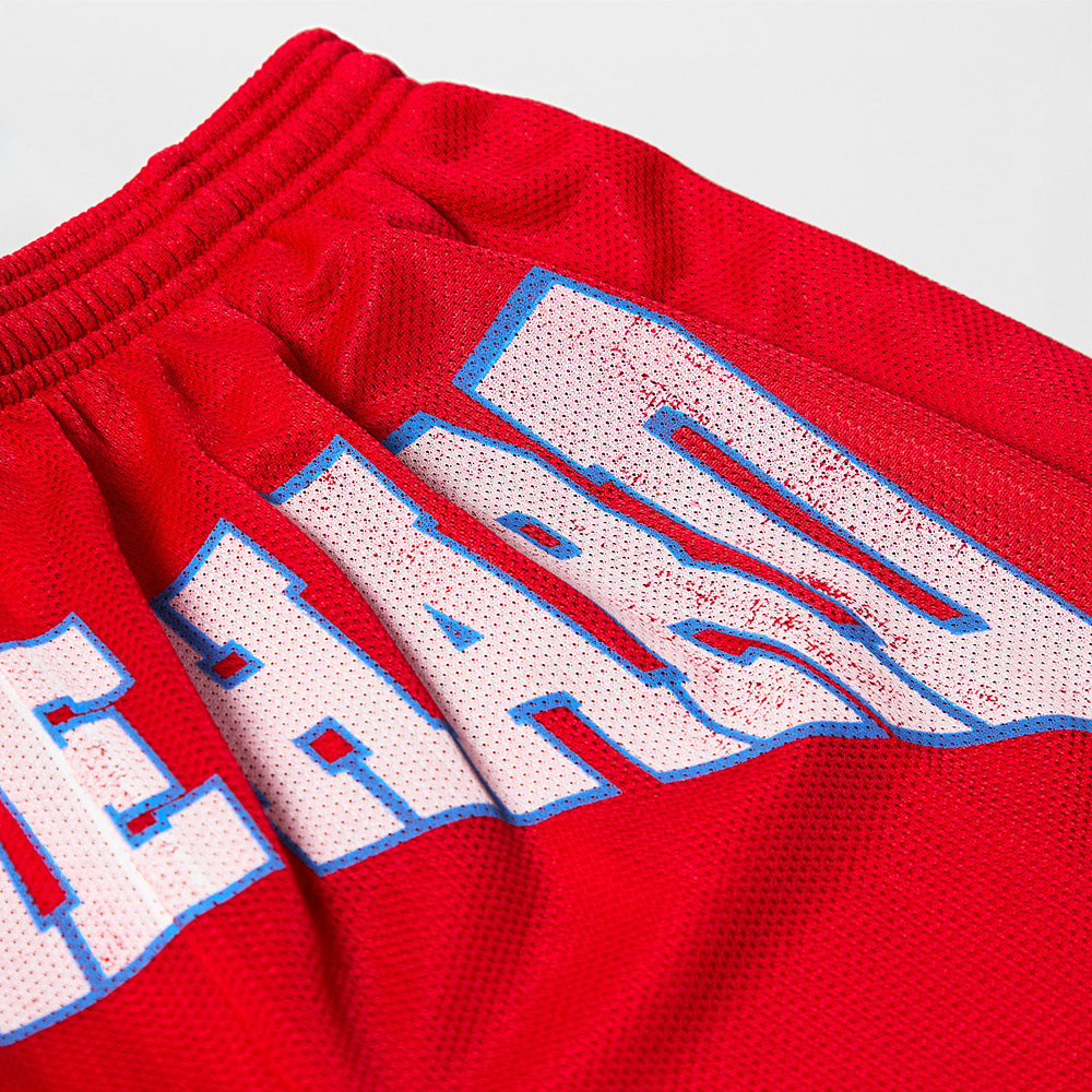 HIT ME HARD MESH SHORTS
