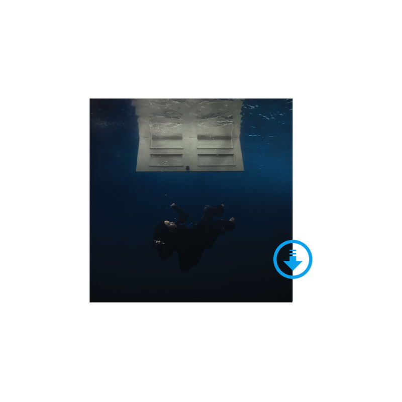 HIT ME HARD AND SOFT Digital Album