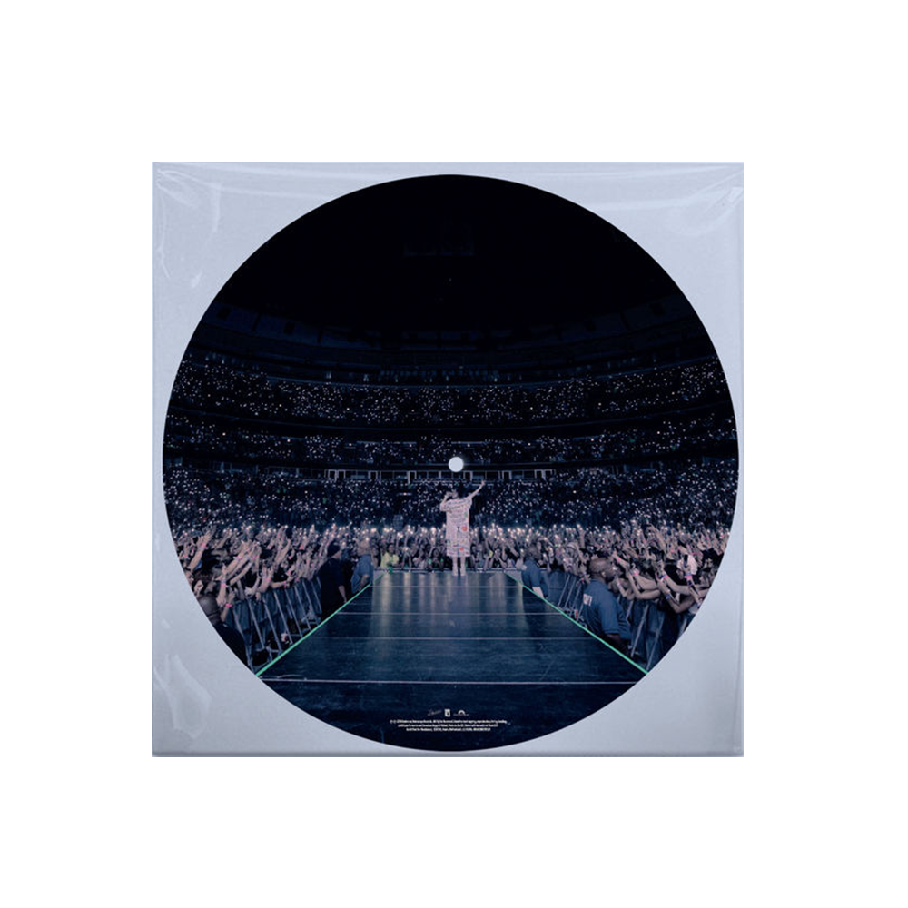 'When We All Fall Asleep, Where Do We Go?' Picture Disc